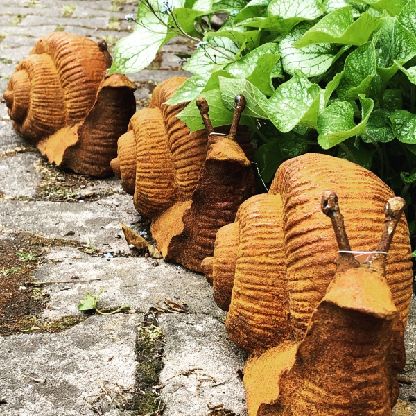 Schnecke - Schnecken - Schneckenauflauf