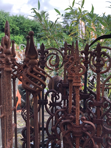 Pflanzstecker, Staudenhalter - Rankhilfe - große - kleine - jede Menge