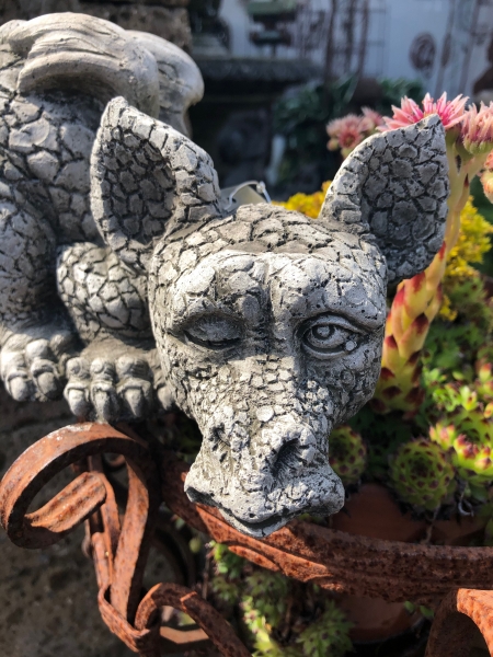 Drachenkind - Drachenbaby - Ulrich garten Schwäbisch Gmünd