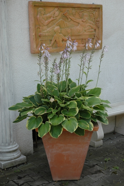 Terracotta Pflanztopf original Impruneta aus Italien