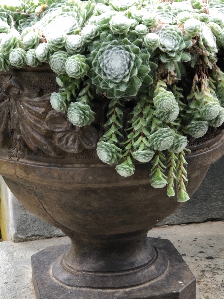 Henri - Pflanztopf - Blumentopf - Steinguss - Blumengirlande